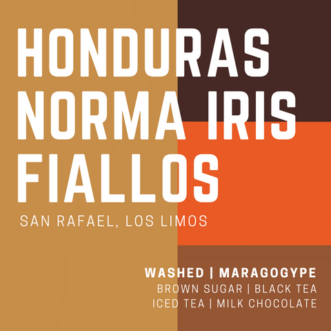 Honduras Norma Iris Fiallos