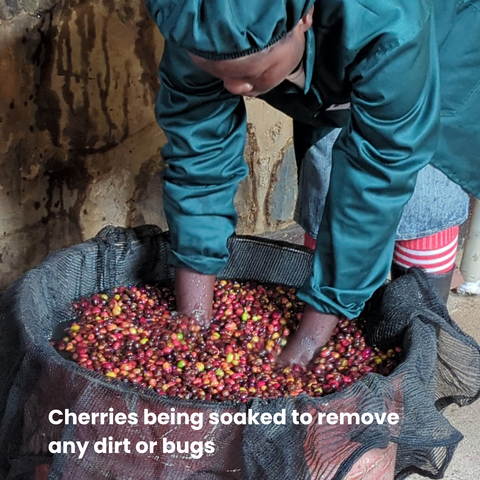 Rwanda Kinini KCRS