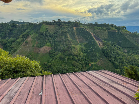 Colombia Nogales Decaf